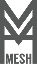 foundation Mesh logo